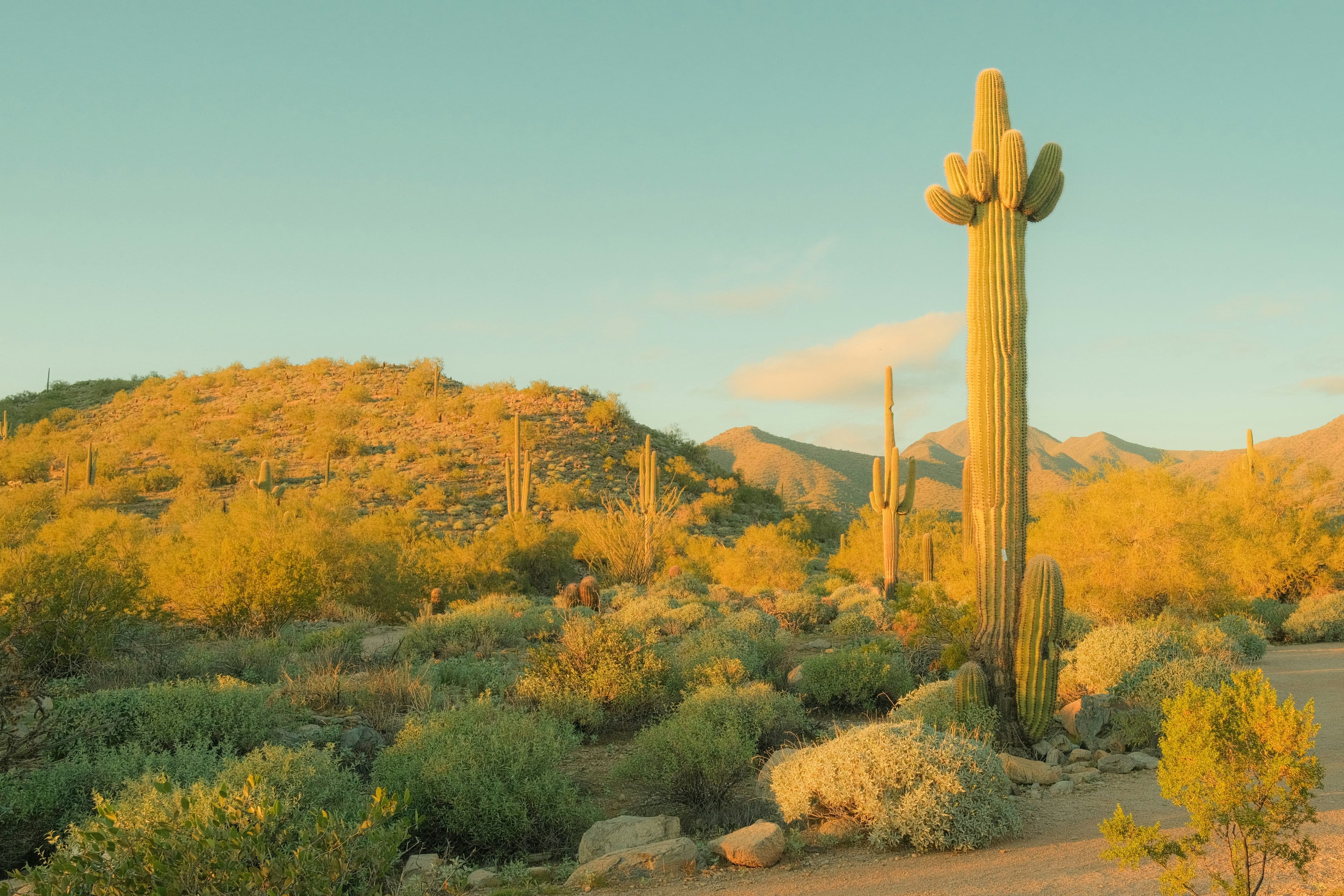 Apache Junction skyline